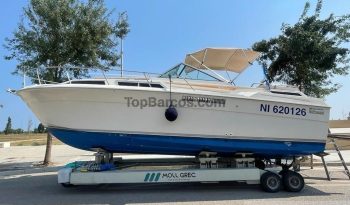 Wellcraft 288 Monaco